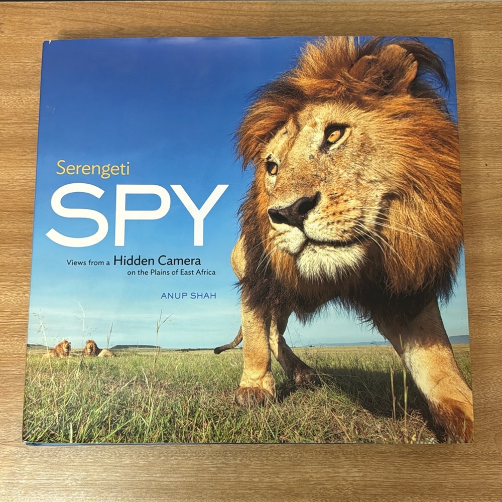 Serengeti Spy by Anup Shah